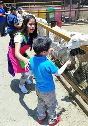 Niño alimentando a los animales en el zoológico